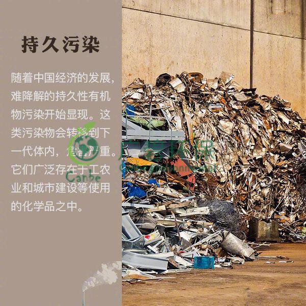 世界地球日 我們能為地球做些什么？(圖8)